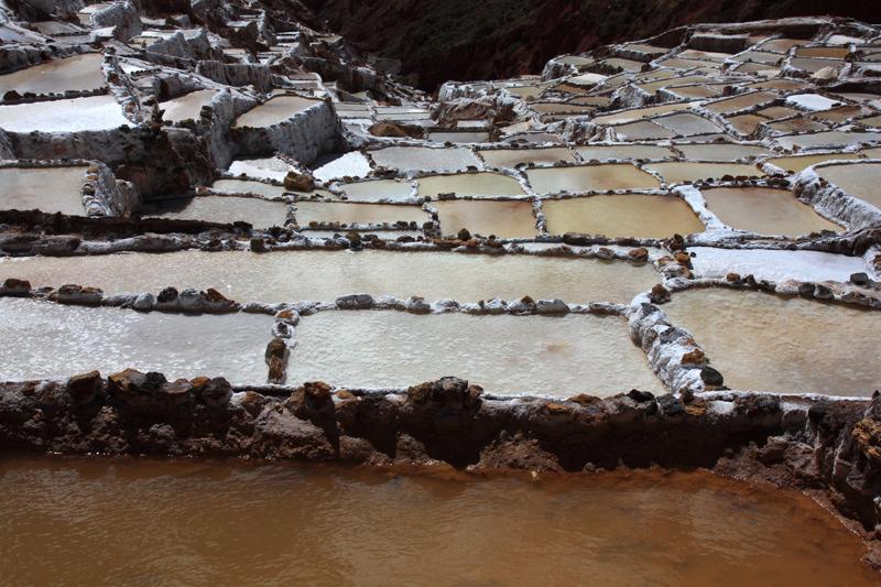 438-Maras,saline,10 luglio 2013.JPG